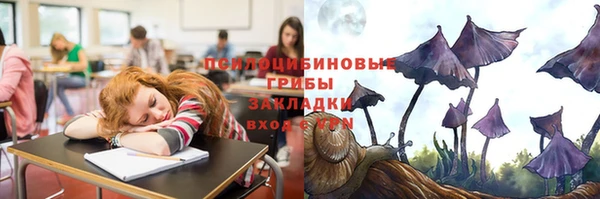 таблы Белокуриха