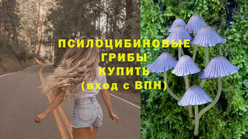 Галлюциногенные грибы Psilocybe  Донецк 